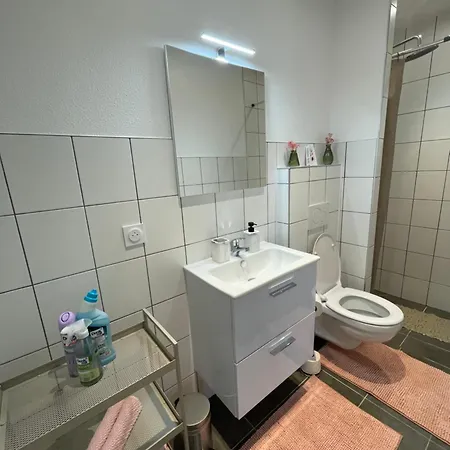 Apartment Hestia Saint-Louis (Haut-Rhin)
