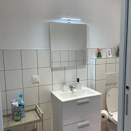 Hestia - Saint-louis & Basel *